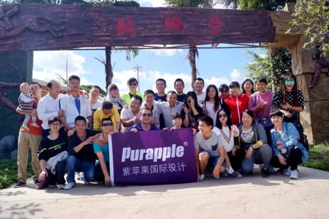 紫苹果公司